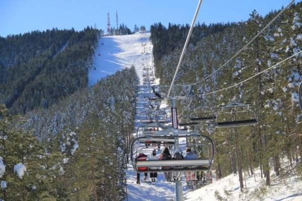 Zlatibor Hills Royal Apartment Екстериор снимка