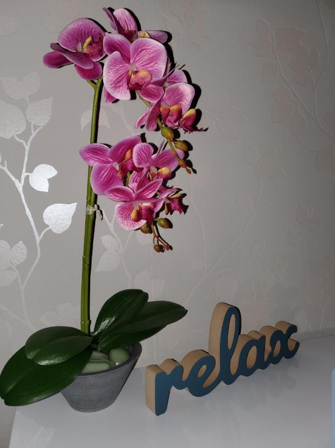 Zlatibor Hills Royal Apartment Екстериор снимка