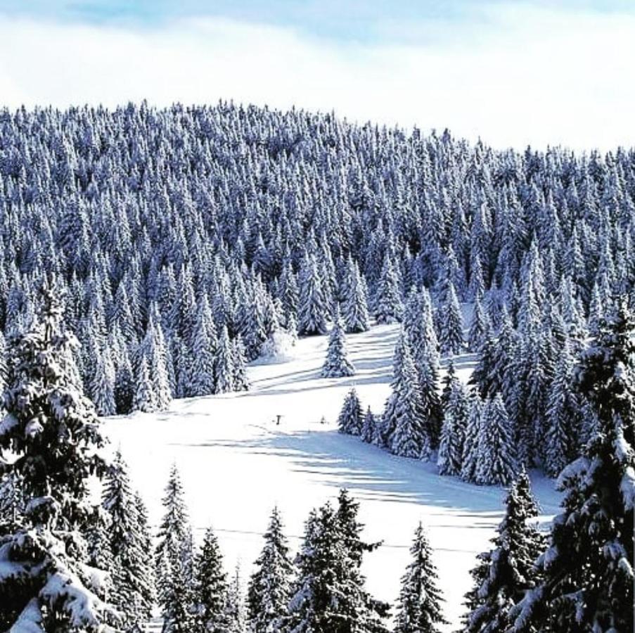 Zlatibor Hills Royal Apartment Екстериор снимка