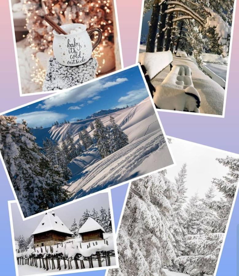 Zlatibor Hills Royal Apartment Екстериор снимка
