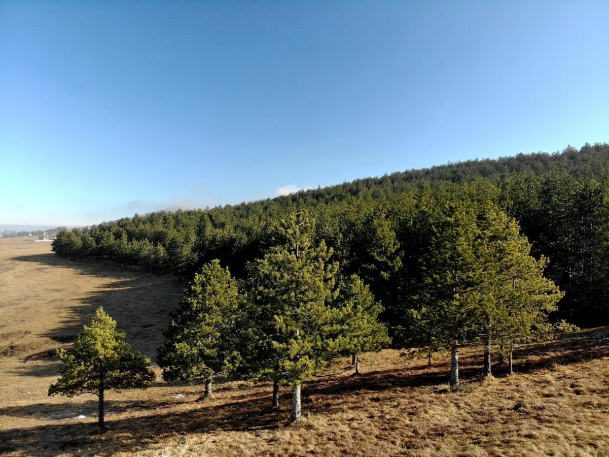 Zlatibor Hills Royal Apartment Екстериор снимка