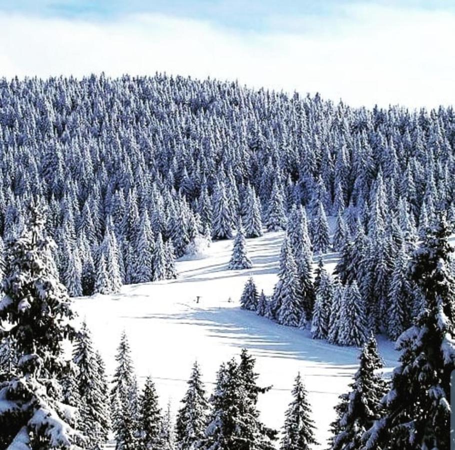 Zlatibor Hills Royal Apartment Екстериор снимка