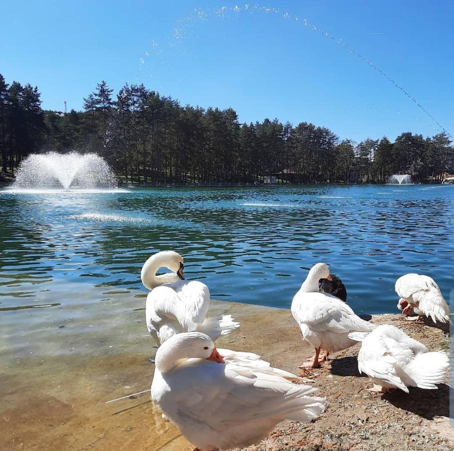 Zlatibor Hills Royal Apartment Екстериор снимка