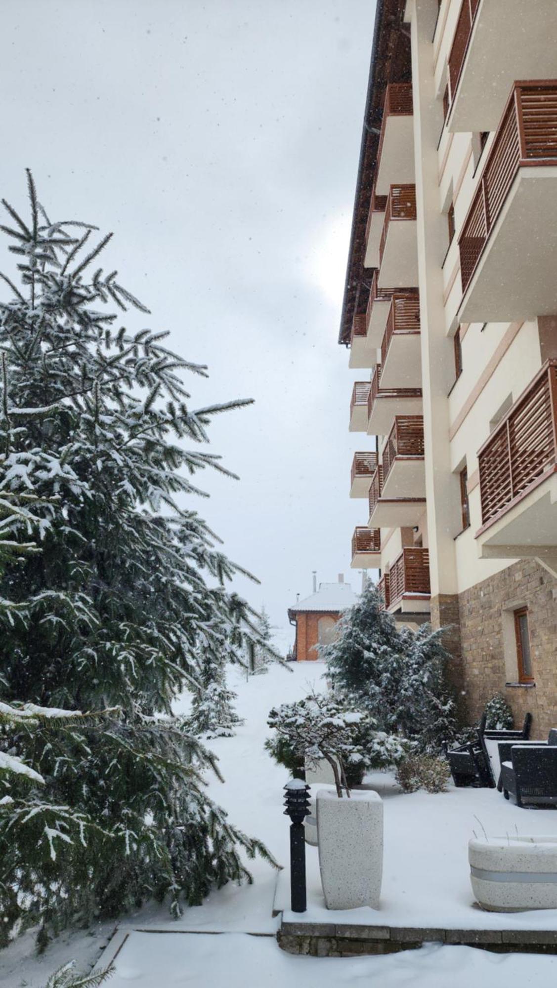 Zlatibor Hills Royal Apartment Екстериор снимка